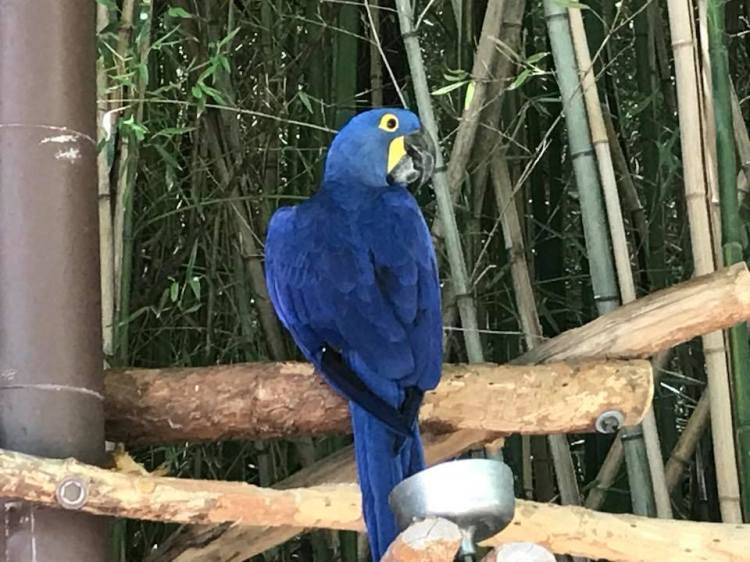 37520426_969325687220_1155514393543311360_n